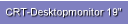CRT-Desktopmonitor 19